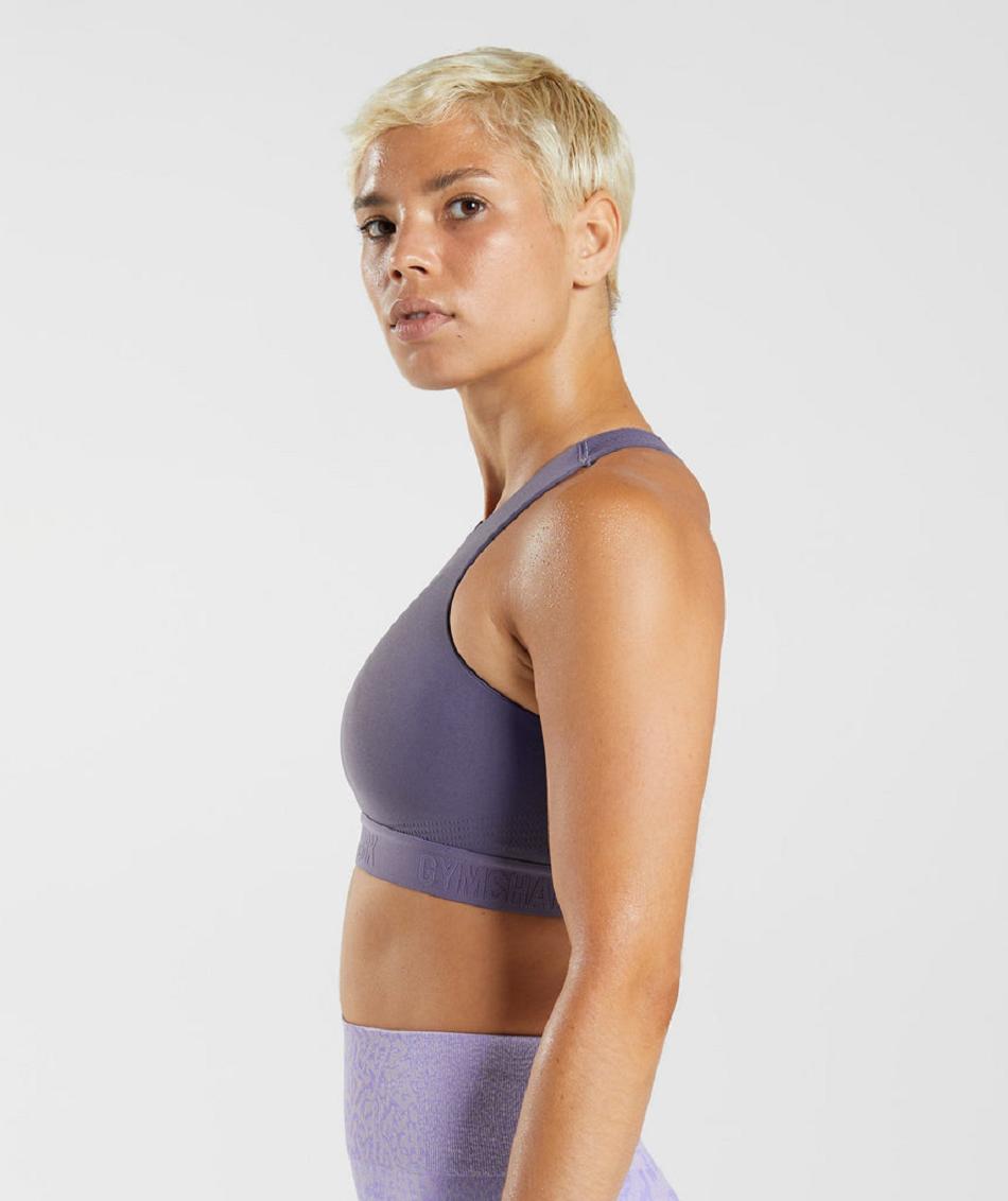 Sujetadores Deportivos Gymshark 315 Performance High Neck Mujer Moradas Moradas | CO 2227UZG